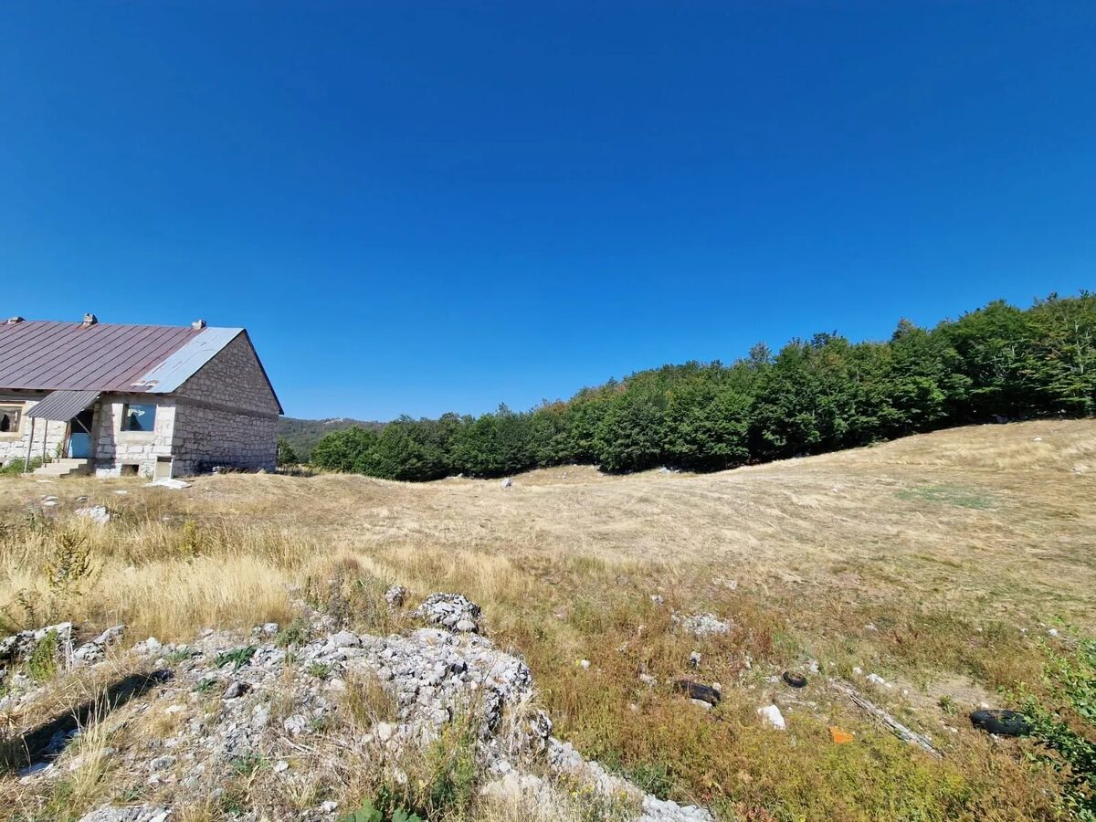 The stone house seen from the limestone outcrop, with the beech woods behind.
