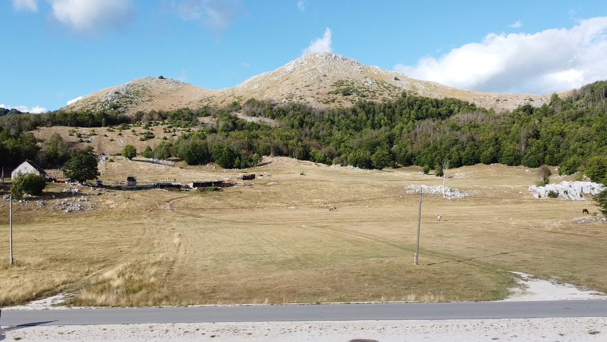 Hay meadow and the summits above the estate.