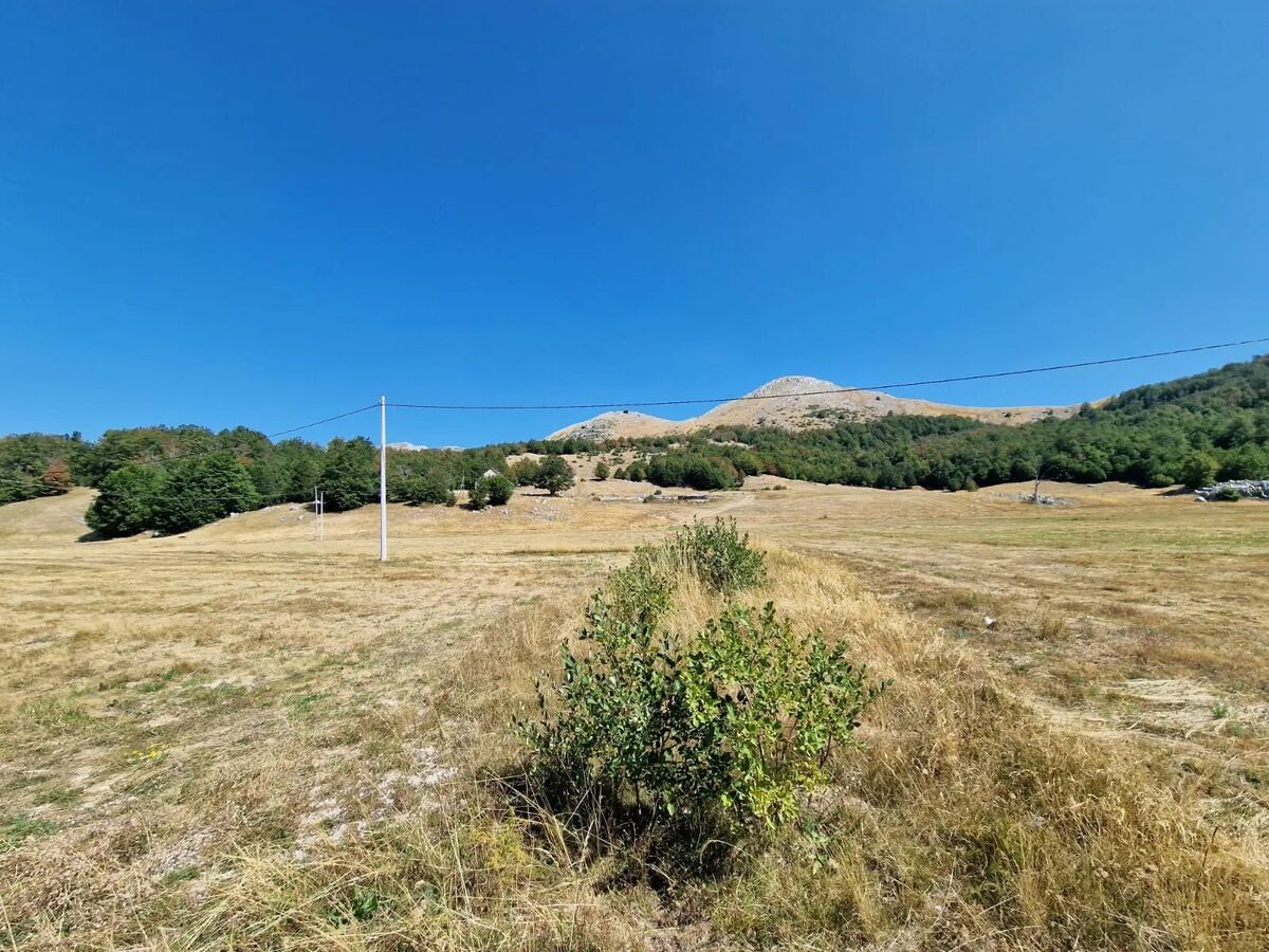 Open pasture and the power line, with the summit beyond.