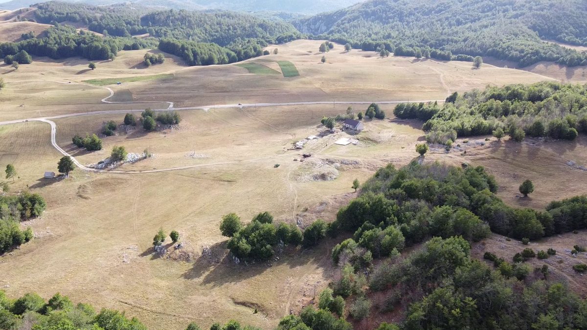 Pasture and forest at the heart of the estate.