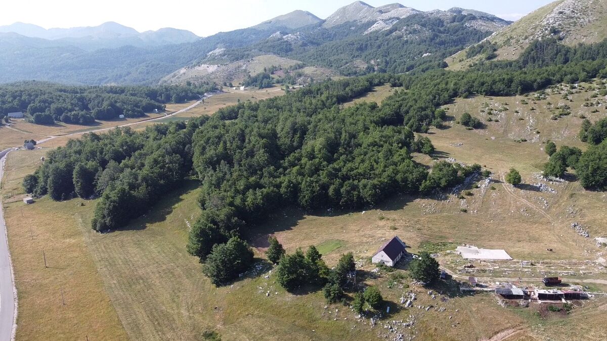 The house in its clearing, the woods behind and the peaks above.