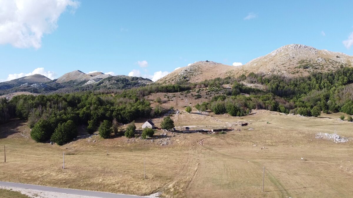 The house and its yard below the summit.