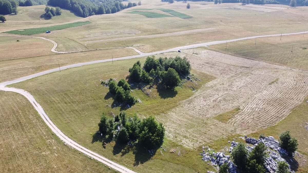 The farm track curling around the meadow outcrop.