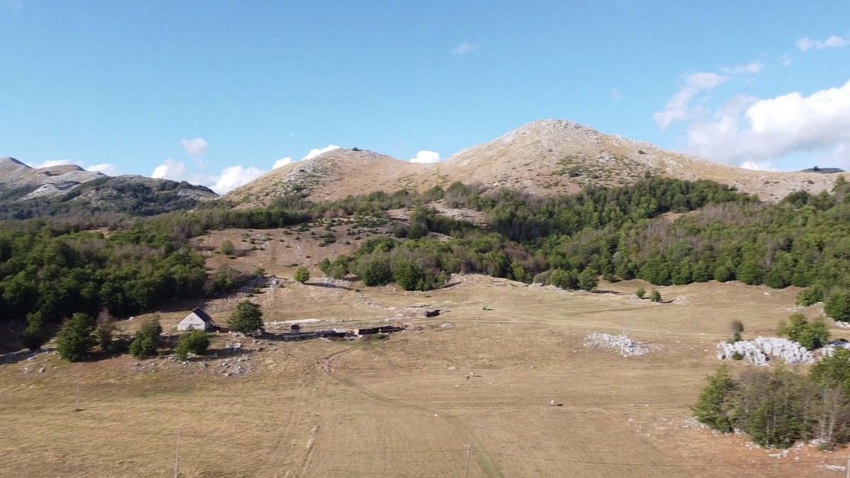 The pasture rising to the peaks.
