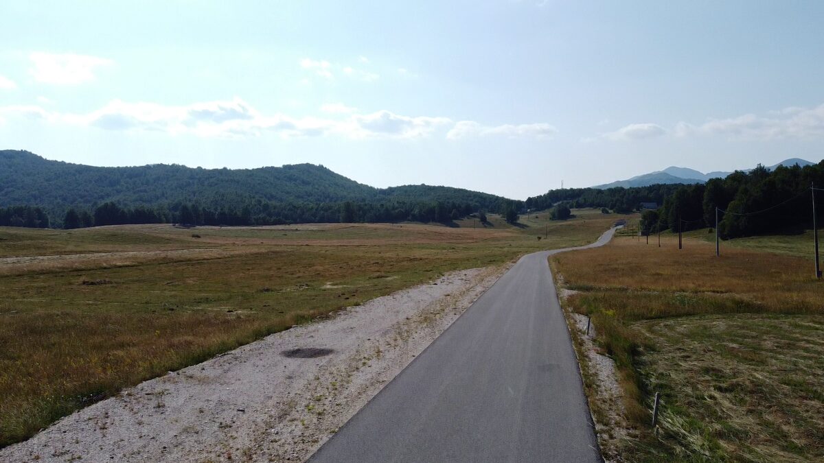 On the asphalt road beside the estate, looking toward the woods.