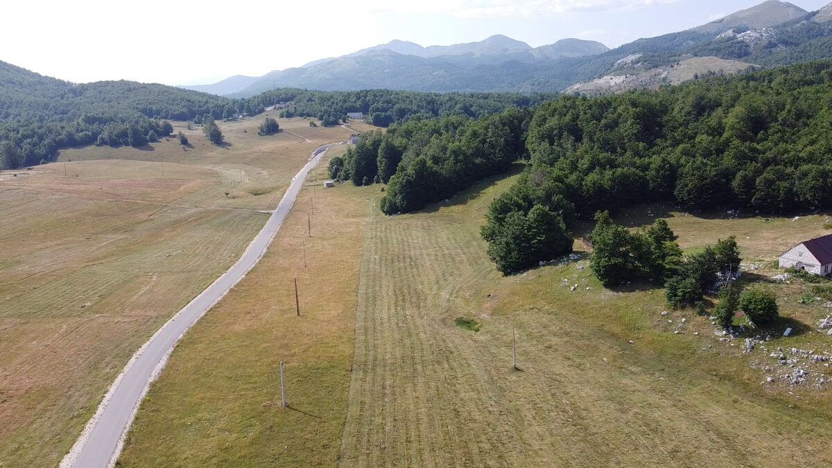 The road along the meadow, with the woods and the mountains beyond.