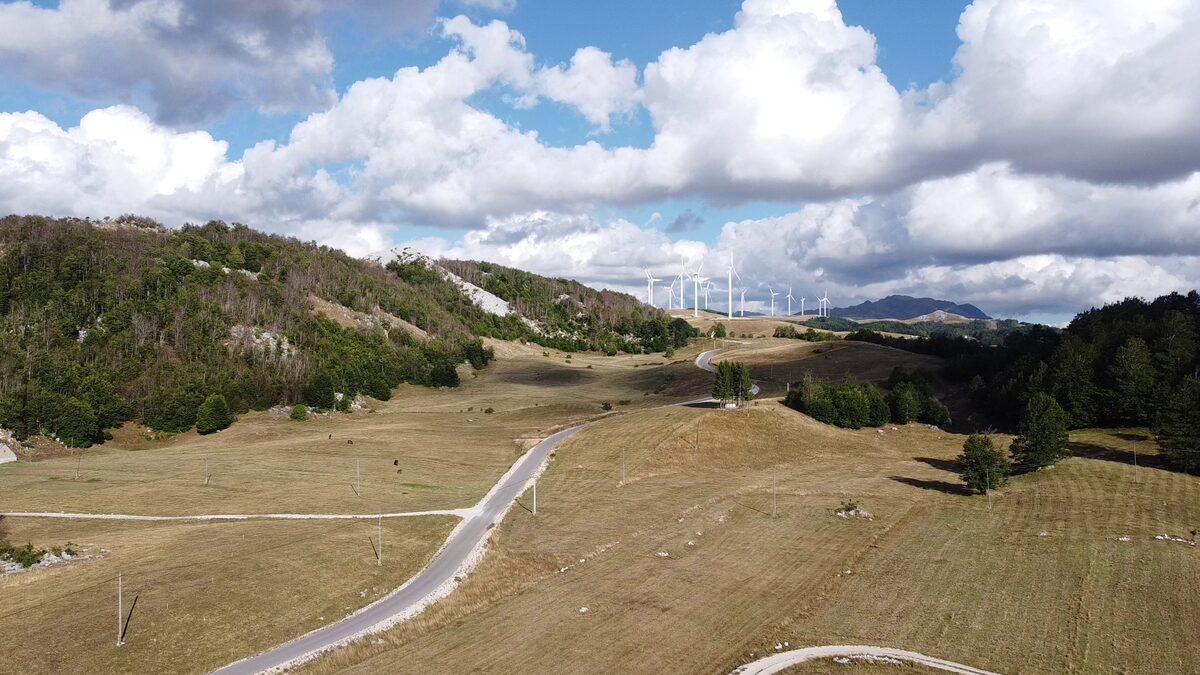 The road past the woods, with the wind farm on the ridge.