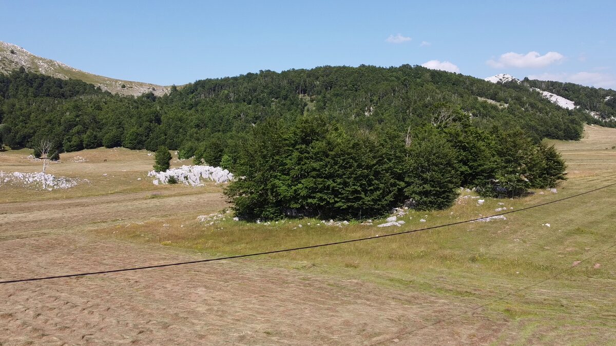 The edge of the beech woods above the limestone outcrops.
